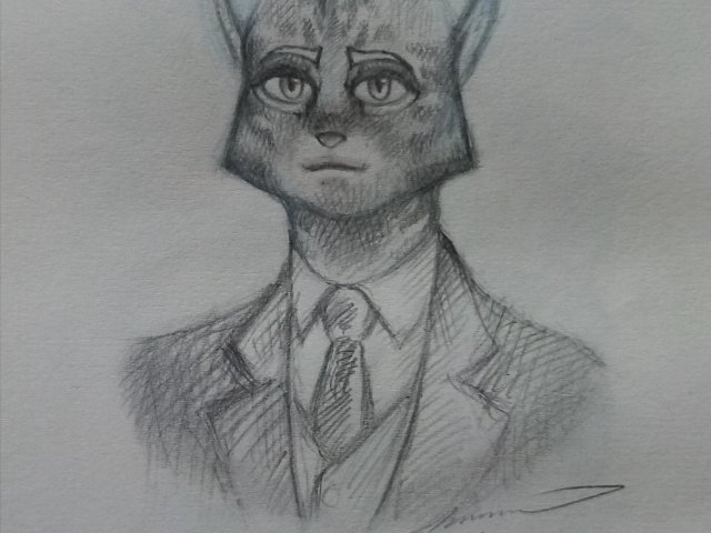 The Feline Underworld